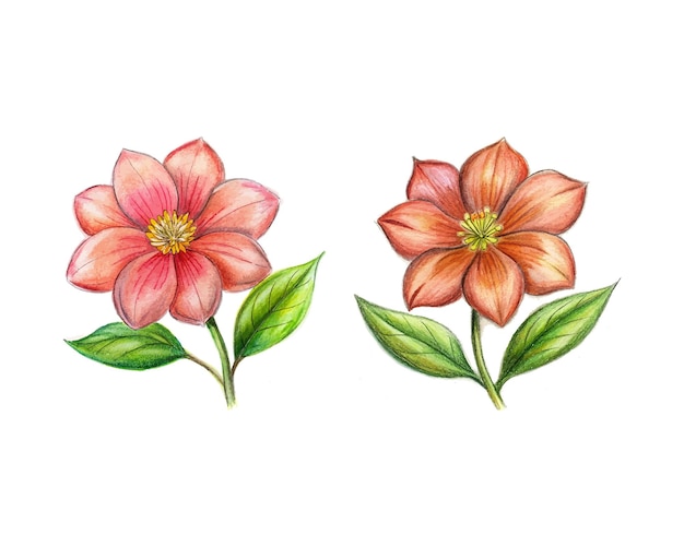 hand drawing flower floral design ai generated