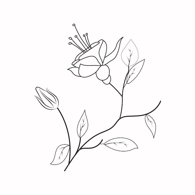 Hand drawing flowers for greeting cards, Coloring book, invitations, Henna drawing, and tattoo.