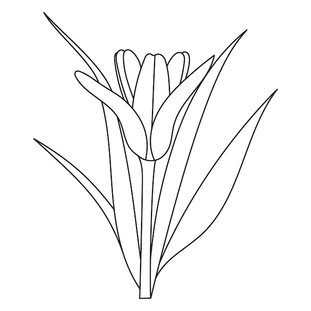 Hand drawing flowers for greeting cards, Coloring book, invitations, Henna drawing, and tattoo.