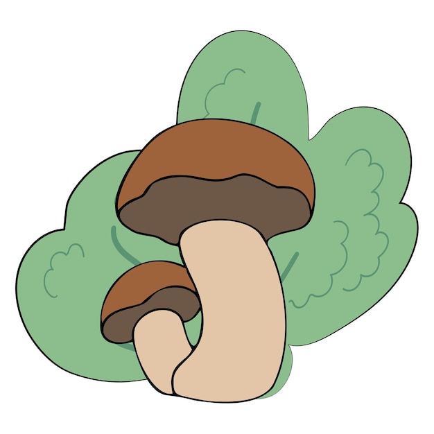 Hand drawing forest wild mushrooms Can be used for menu design label badge recipe packaging