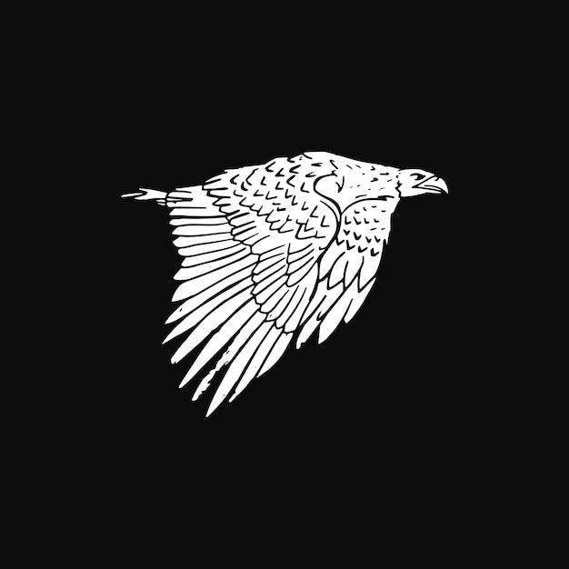 Hand Drawing Illustration Flying Hawk Black Background