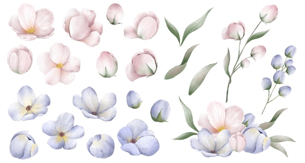 Hand Drawing Korean Style Flowers