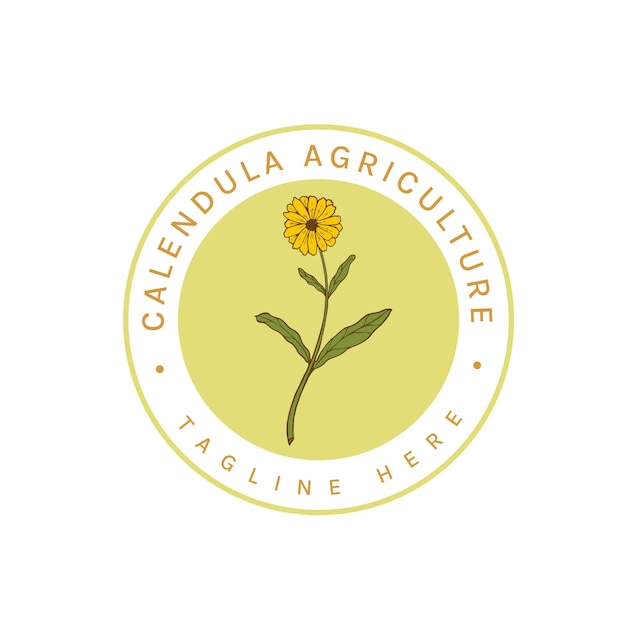 Hand Drawing logo Calendula Agriculture for your business