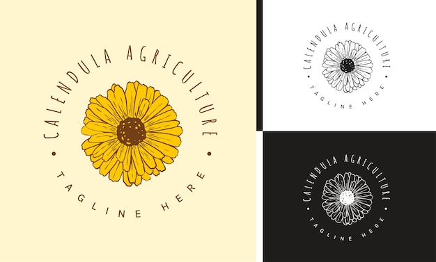 Hand Drawing logo Calendula Agriculture for your business