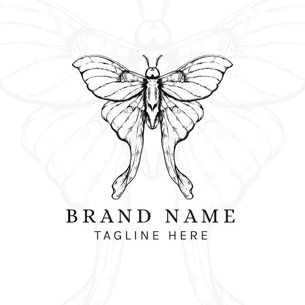 Hand Drawing Logo Moths and butterflies for your brand