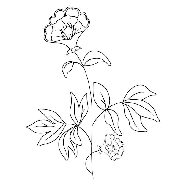 Hand drawing outline coloring flower