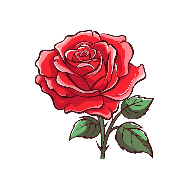 hand drawing red roses vector illustration