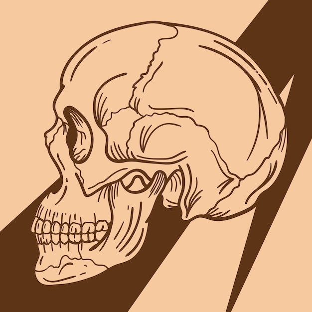 Hand Drawing Skull Side View One color