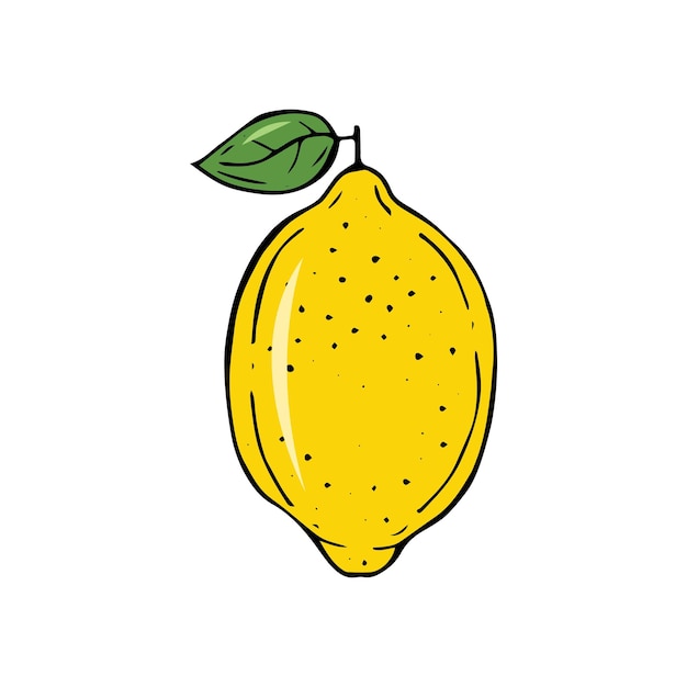 Hand drawing vector illustration of lemon.