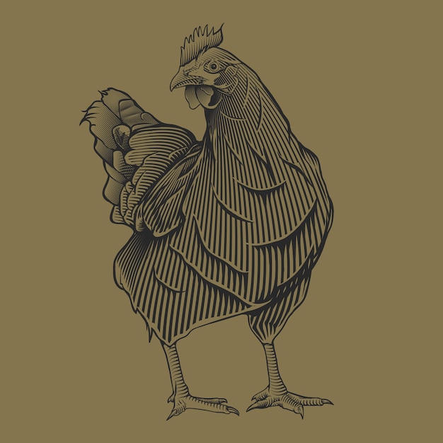 Hand drawing vintage Chiken illustration