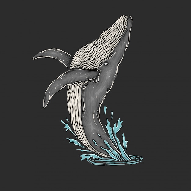 Vector hand drawing vintage whale jump vector illustration