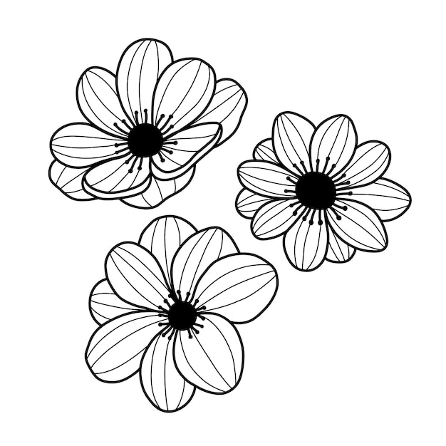 Hand drawn abstract anemones on white background