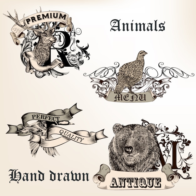 Hand drawn animals collection