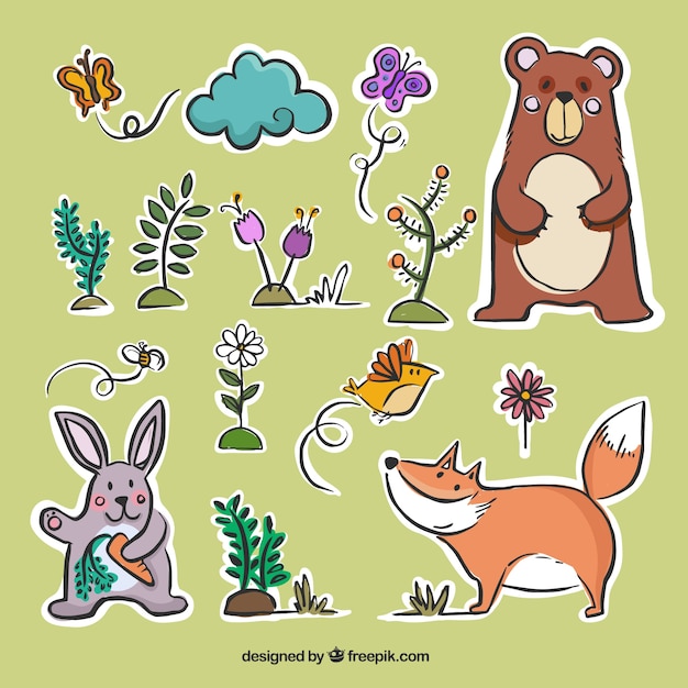 Hand drawn animals pack