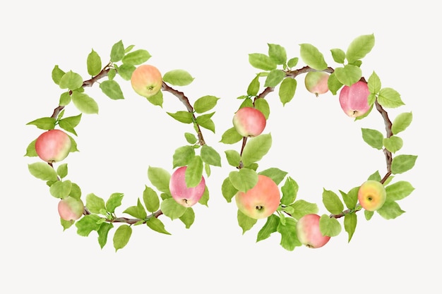 hand drawn apple fruit wreath background design