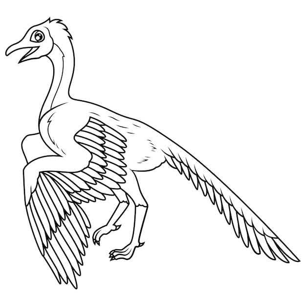 hand drawn of archaeopteryx line art