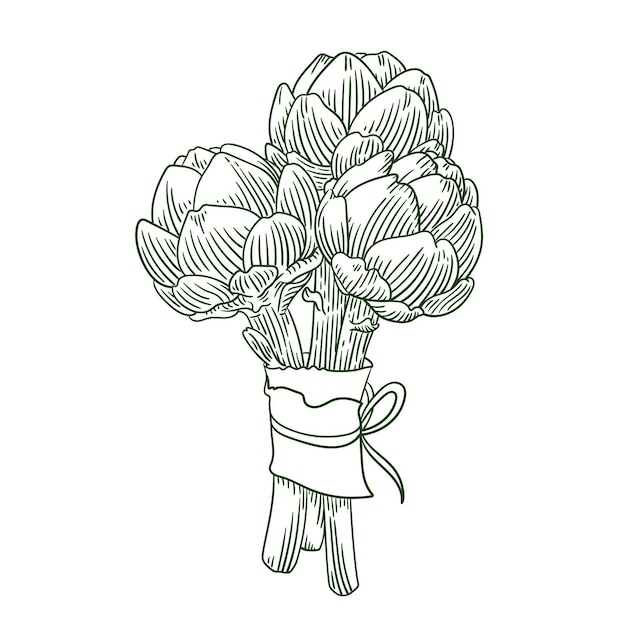 Hand drawn artichoke bouquet engraved