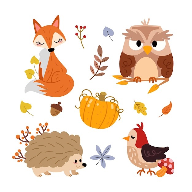 Hand drawn autumn animals collection