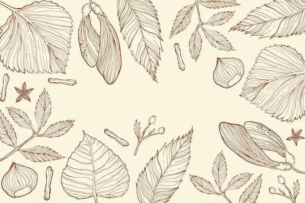 Hand drawn autumn background