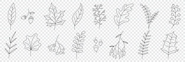 Hand drawn autumn collection with seasonal plants and leaves Set of hand drawn plants leaves flowers Silhouettes of natural elements for seasonal backgrounds Vector illustration