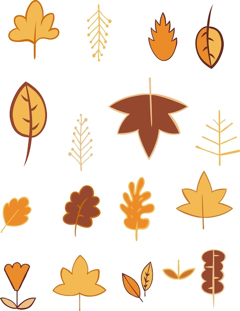 Vector hand drawn autumn elements illustration