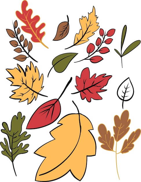 Vector hand drawn autumn elements illustration