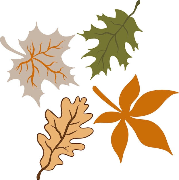 Vector hand drawn autumn elements illustration