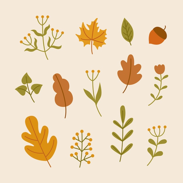 Hand drawn autumn leaves and flowers abstract decorative vector illustration