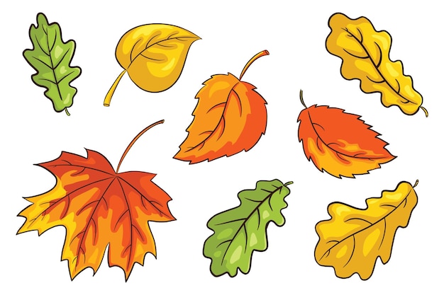 Hand Drawn Autumn Leaves Set. Collection of forest foliage. Oak, maple and hazel leaf. Autumn decorative elements for print, sticker, invitation and greeting card design and decoration. Premium Vector