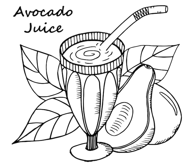 Hand drawn avocado juice in a glass