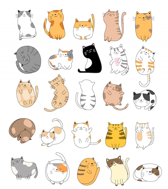 Hand drawn baby cat collection