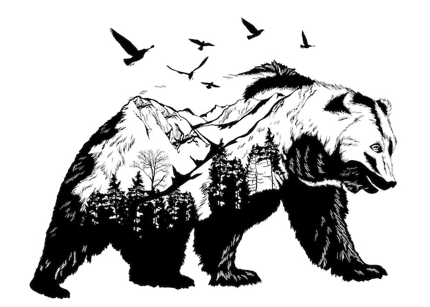 Hand drawn bear for your design wildlife concept