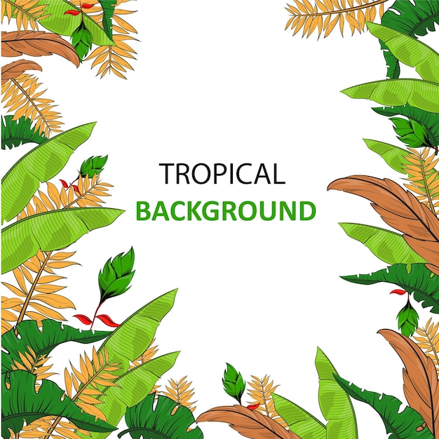 Hand drawn beautiful tropical trees and flowers tropical plant illustration