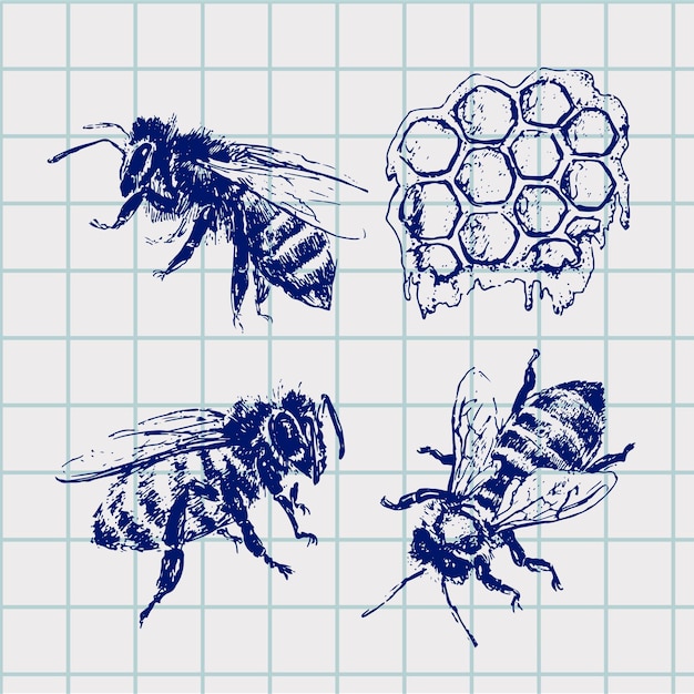 Hand drawn bee sketch black honey vector illustration