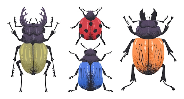 Vector hand drawn beetles wild nature insects cute bugs stag beetle ladybug and leaf bug flat vector illustration set doodle little beetles