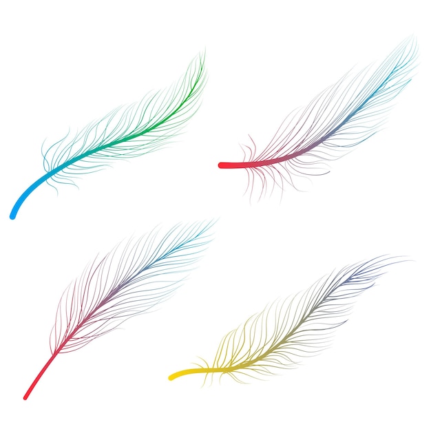 Hand drawn bird feathers linear doodle art vector