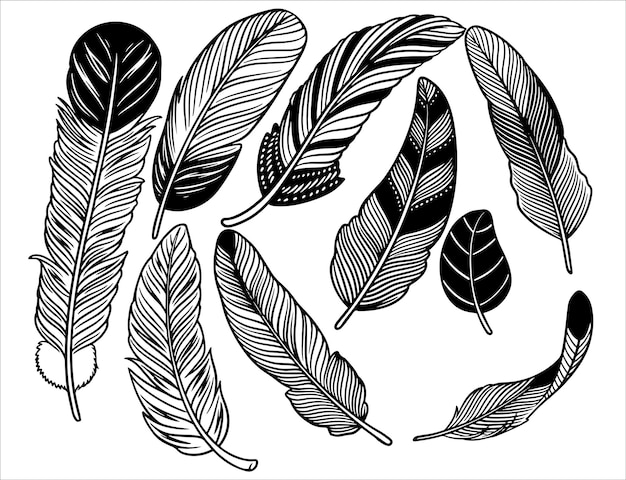 Hand drawn bohemian tribal ethnic set of feathers Black and white ink sketch Ethnic boho style hand drawing Rustic feathers collection Realistic graphic style with scratched lines