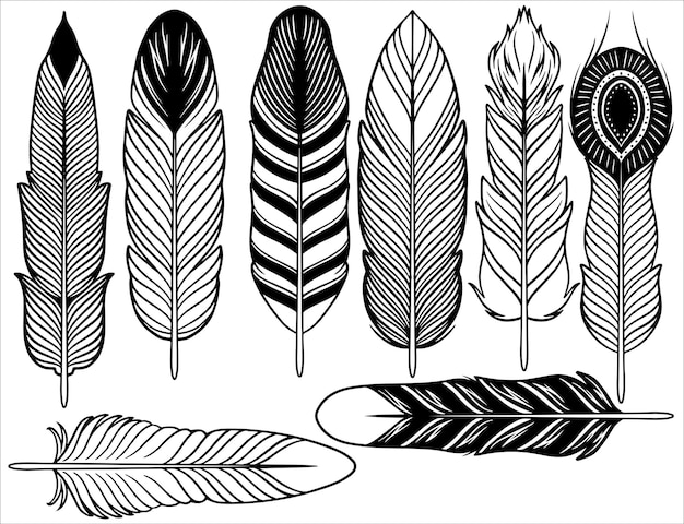 Hand drawn bohemian tribal ethnic set of feathers Black and white ink sketch Ethnic boho style hand drawing Rustic feathers collection Realistic graphic style with scratched lines