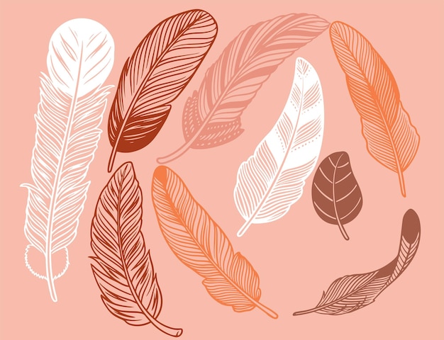 Hand drawn bohemian tribal ethnic set of feathers Rustic decorative feathers Vintage vector design set