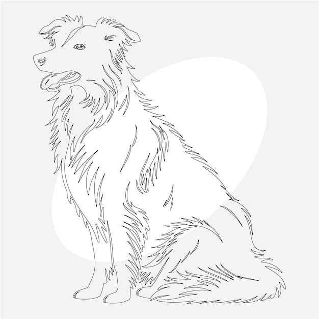 Vector hand drawn border collie dog outline illustration