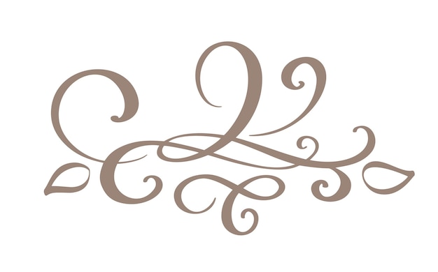 Hand drawn border flourish separator Calligraphy designer elements Vector vintage wedding