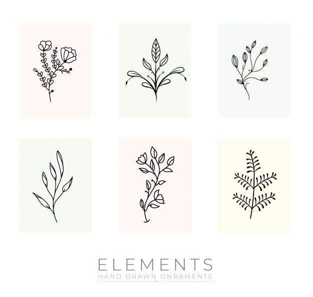 Hand drawn botanical elements collection