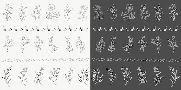 Vector hand drawn botanical  elements  