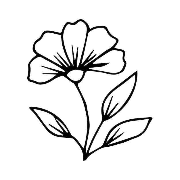 Hand drawn botanical flower doodle element for floral design concept