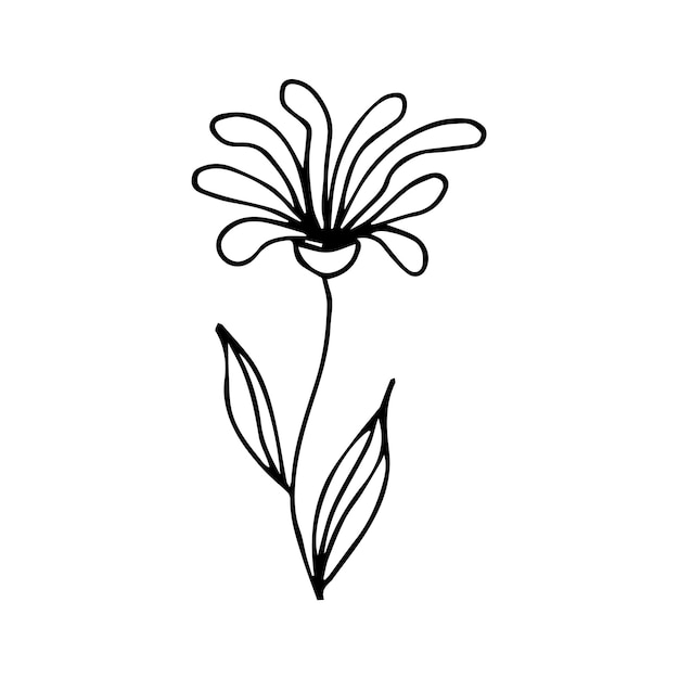 Hand drawn botanical flower doodle element for floral design concept