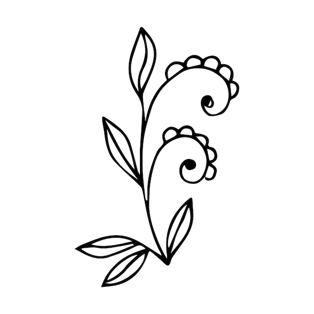 Hand drawn botanical flower doodle element for floral design concept