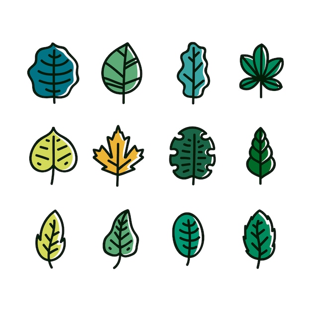 Hand Drawn Botanical Leaves Collection