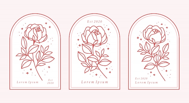 Hand drawn botanical rose flower logo element collection