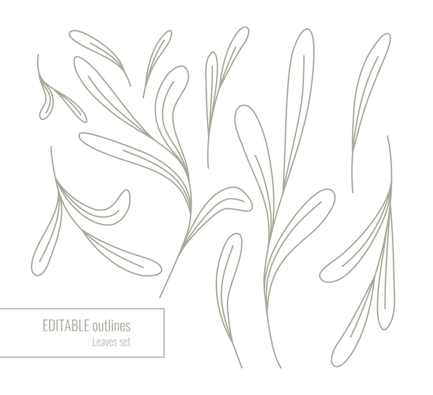 Hand drawn botanical set of  vector leaves with editable outlines.