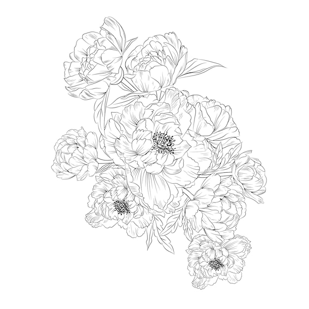 Hand-drawn botanical spring elements bouquet of peony flower line art coloring page.